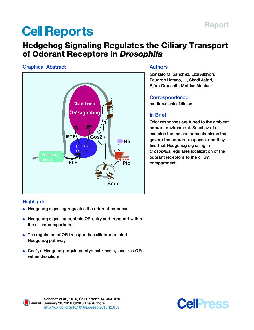 Hedgehog Signaling Regulates the Ciliary Transport of Odorant Receptors in Drosophila 