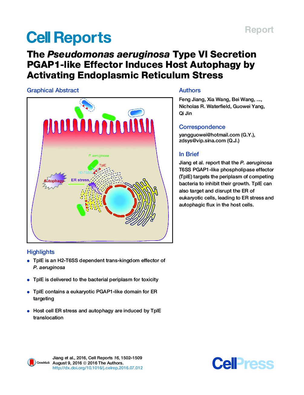 عکس صفحه اول مقاله: The Pseudomonas aeruginosa Type VI Secretion PGAP1-like Effector Induces Host Autophagy by Activating Endoplasmic Reticulum Stress The Pseudomonas aeruginosa Type VI Secretion PGAP1-like Effector Induces Host Autophagy by Activating Endoplasmic Reticulum Stress