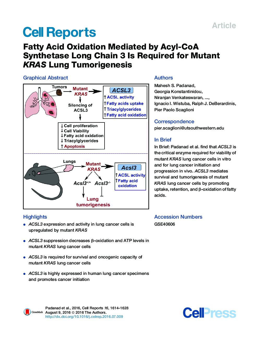 عکس صفحه اول مقاله: Fatty Acid Oxidation Mediated by Acyl-CoA Synthetase Long Chain 3 Is Required for Mutant KRAS Lung Tumorigenesis Fatty Acid Oxidation Mediated by Acyl-CoA Synthetase Long Chain 3 Is Required for Mutant KRAS Lung Tumorigenesis