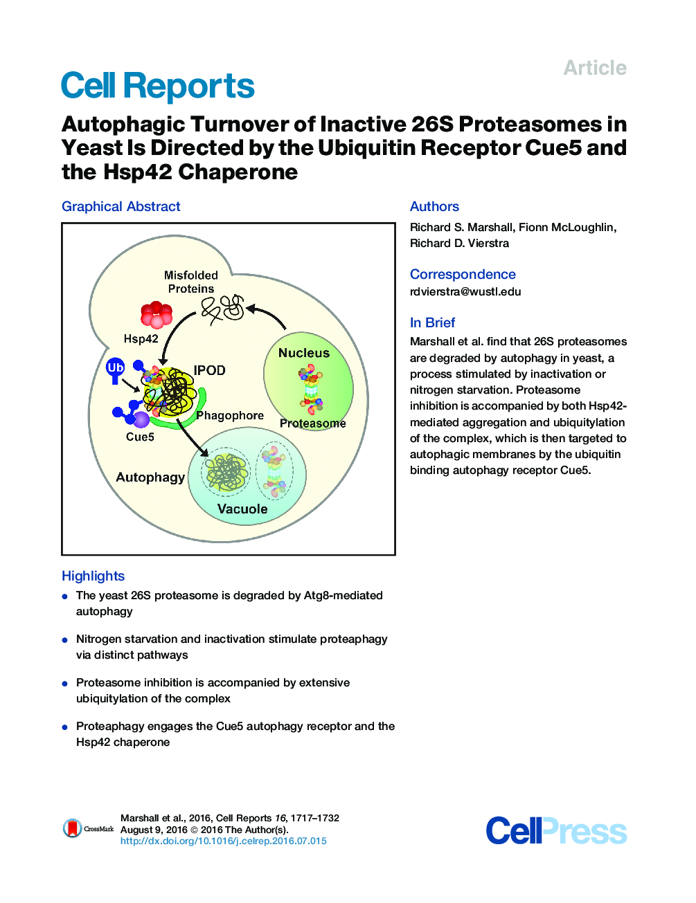 Autophagic Turnover of Inactive 26S Proteasomes in Yeast Is Directed by the Ubiquitin Receptor Cue5 and the Hsp42 Chaperone