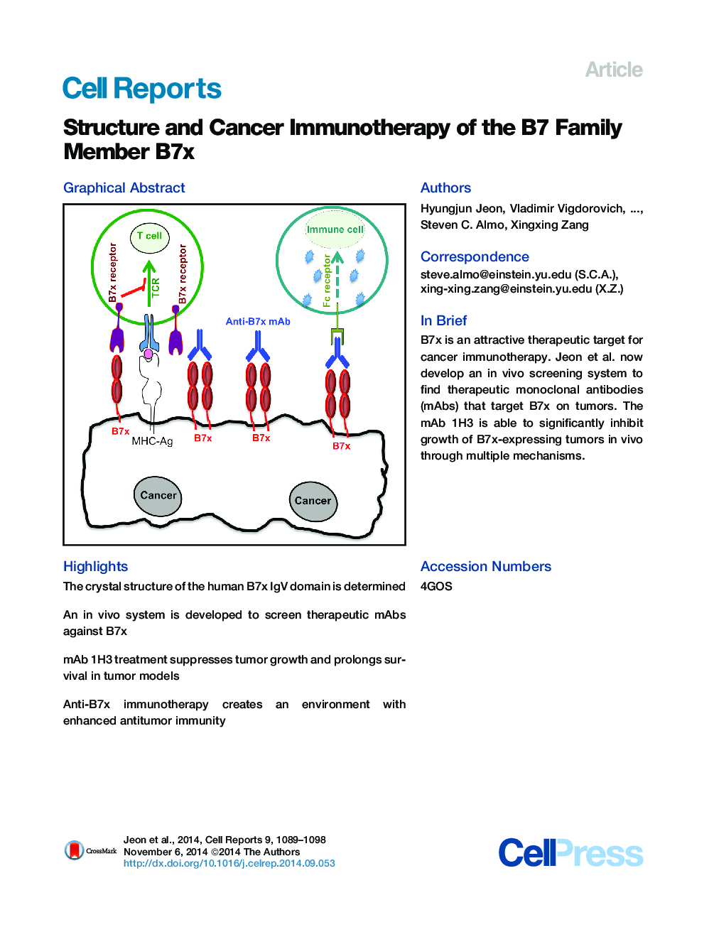 Structure and Cancer Immunotherapy of the B7 Family Member B7x 