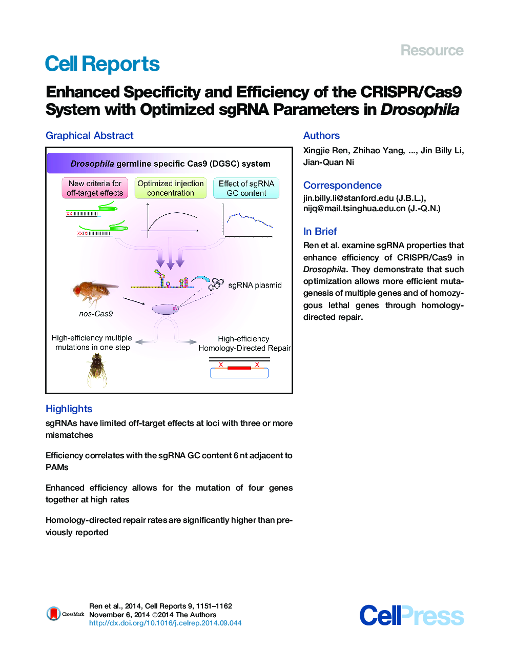 Enhanced Specificity and Efficiency of the CRISPR/Cas9 System with Optimized sgRNA Parameters in Drosophila 