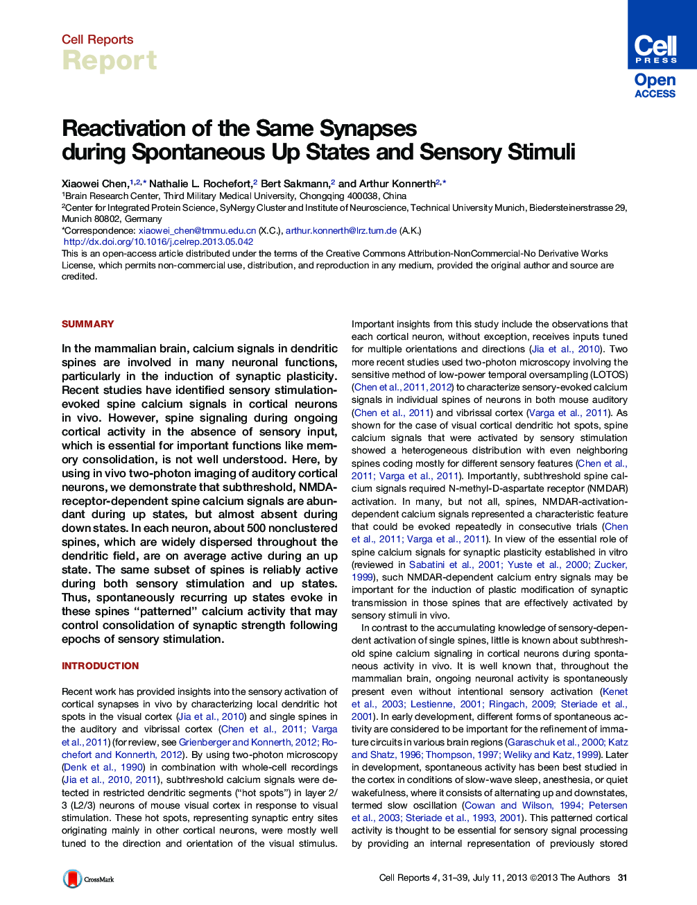 Reactivation of the Same Synapses during Spontaneous Up States and Sensory Stimuli 