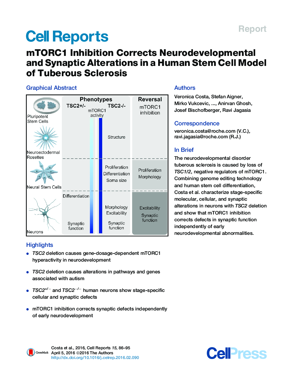 mTORC1 Inhibition Corrects Neurodevelopmental and Synaptic Alterations in a Human Stem Cell Model of Tuberous Sclerosis