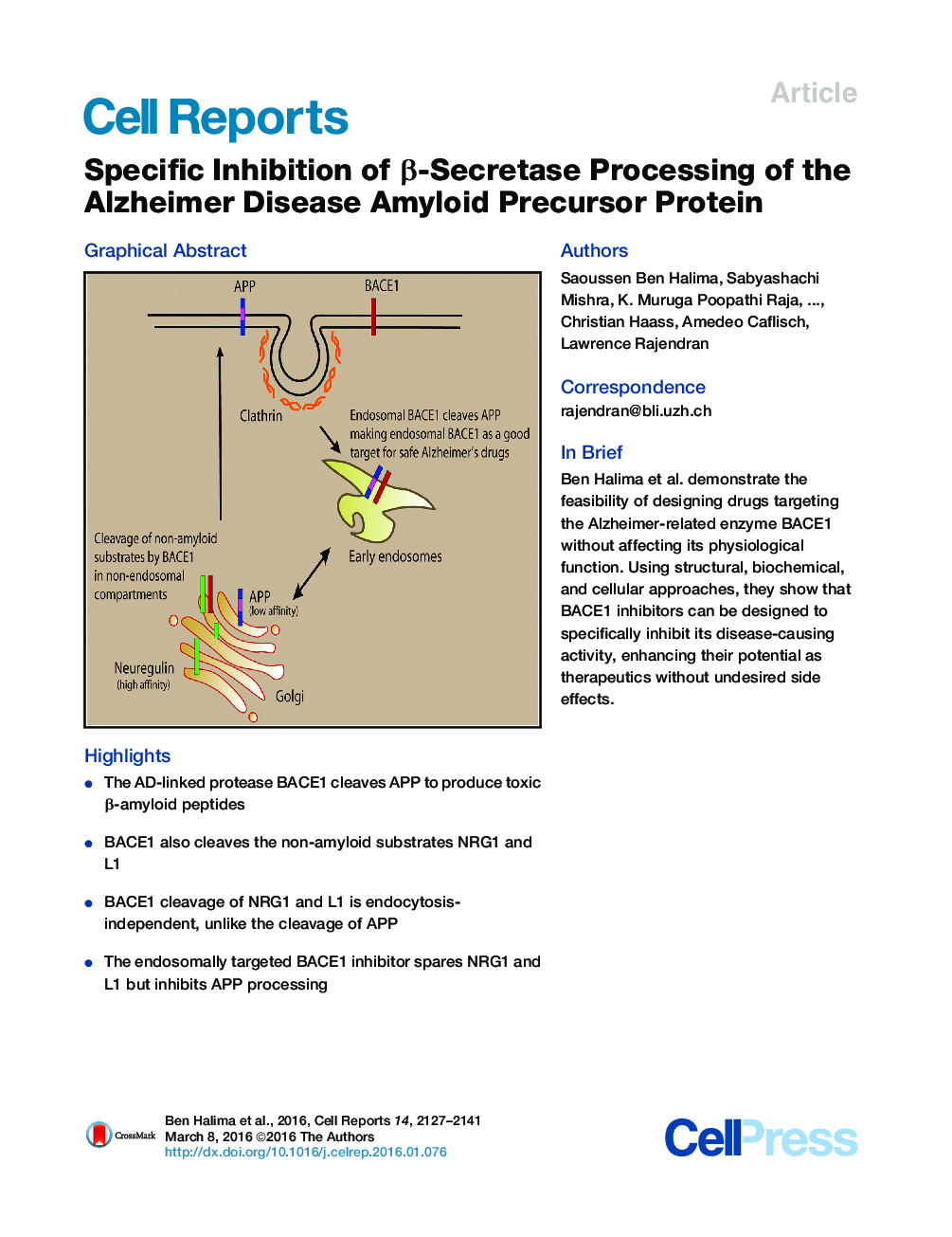 Specific Inhibition of β-Secretase Processing of the Alzheimer Disease Amyloid Precursor Protein 