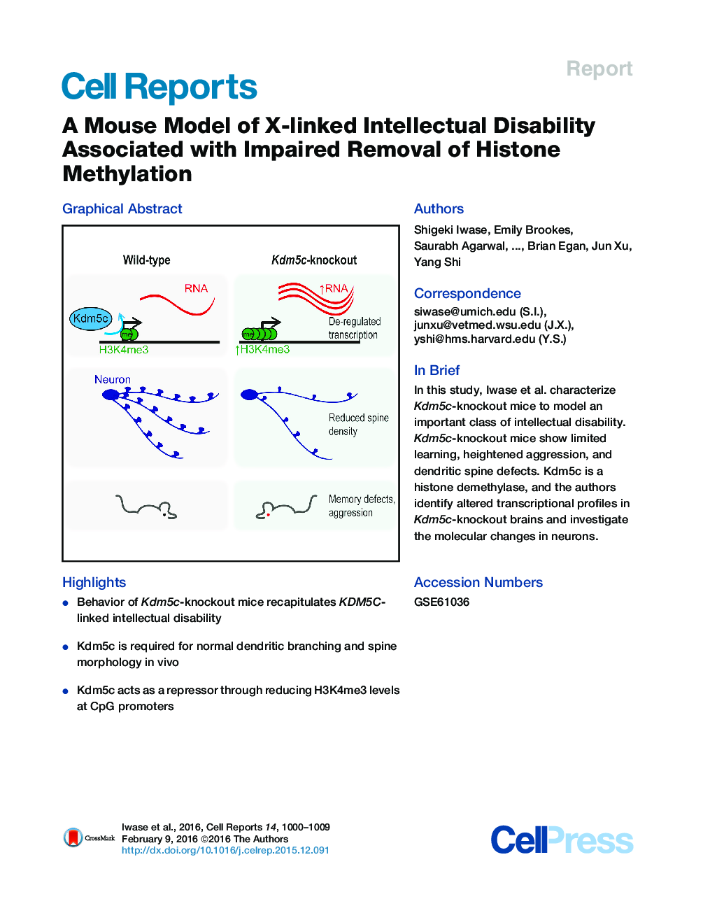 A Mouse Model of X-linked Intellectual Disability Associated with Impaired Removal of Histone Methylation 