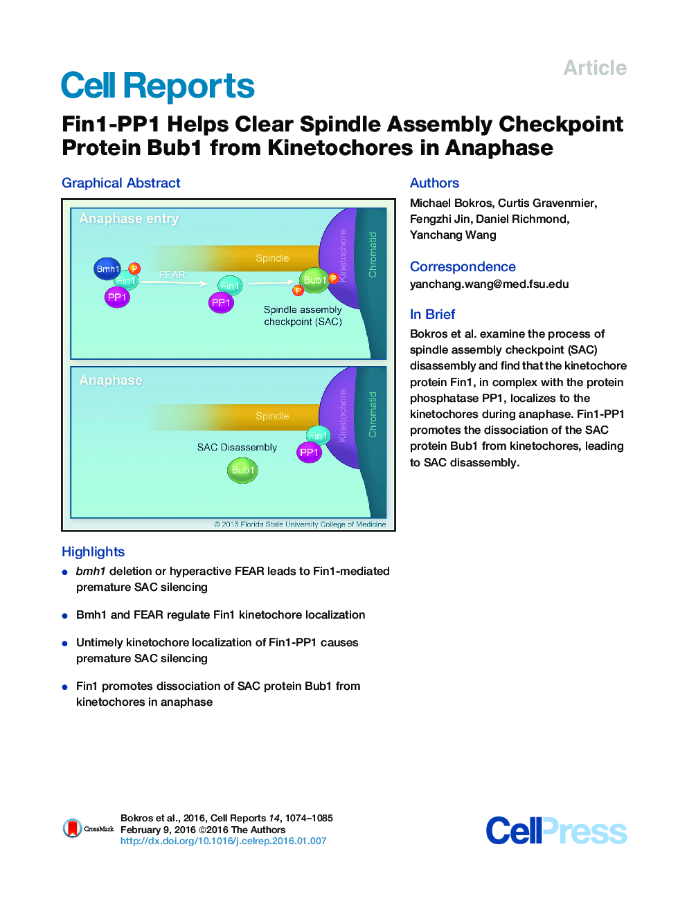 Fin1-PP1 Helps Clear Spindle Assembly Checkpoint Protein Bub1 from Kinetochores in Anaphase 