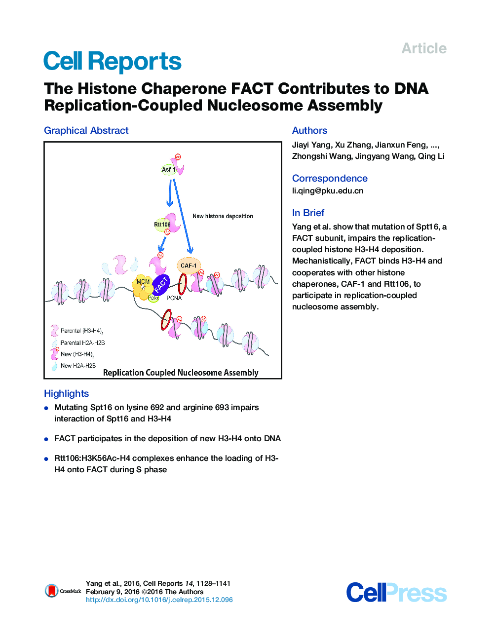 The Histone Chaperone FACT Contributes to DNA Replication-Coupled Nucleosome Assembly 