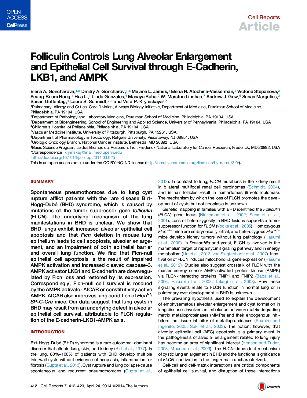 Folliculin Controls Lung Alveolar Enlargement and Epithelial Cell Survival through E-Cadherin, LKB1, and AMPK 