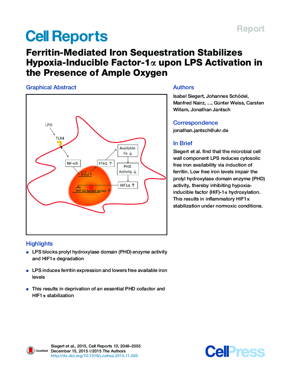Ferritin-Mediated Iron Sequestration Stabilizes Hypoxia-Inducible Factor-1α upon LPS Activation in the Presence of Ample Oxygen 
