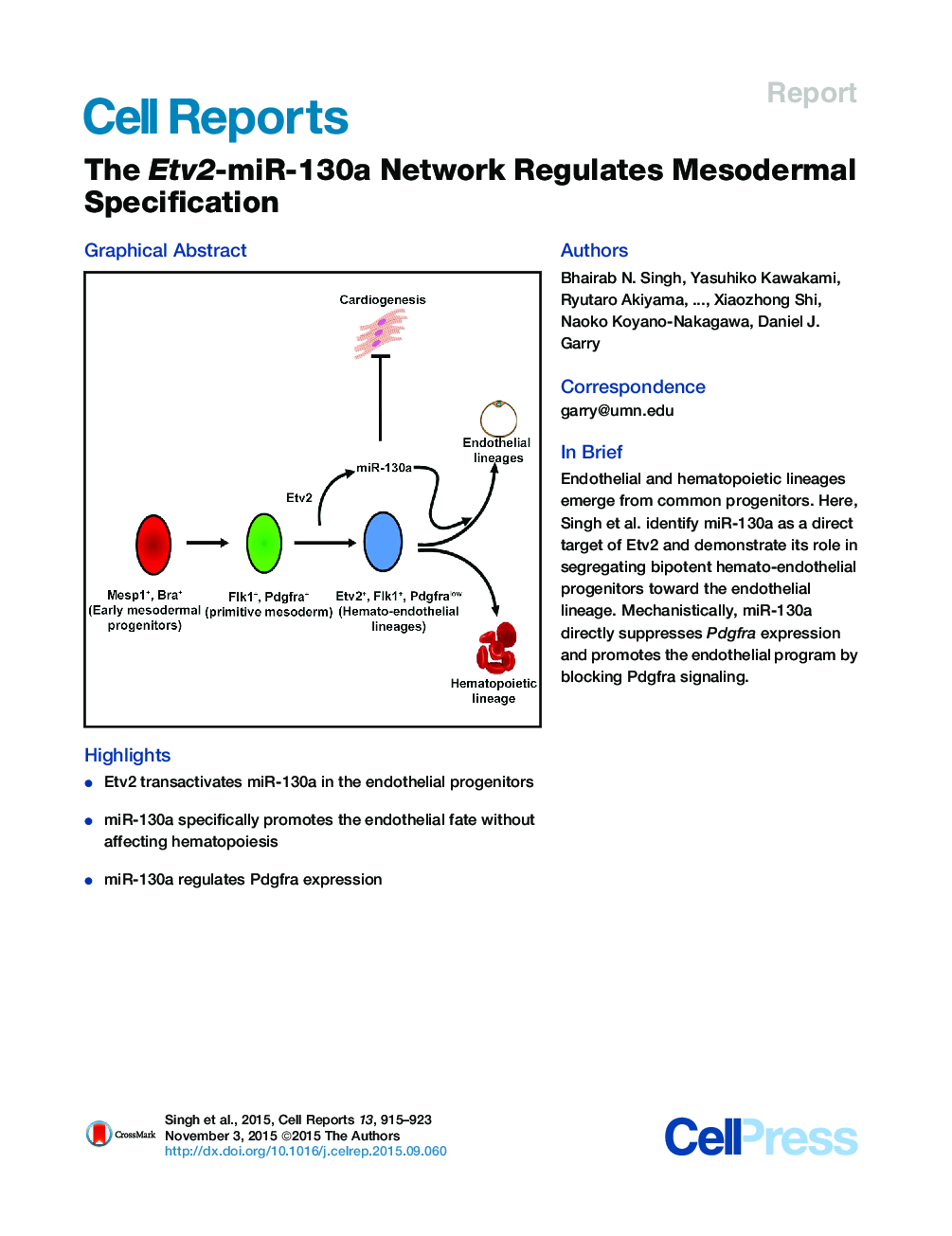 The Etv2-miR-130a Network Regulates Mesodermal Specification 