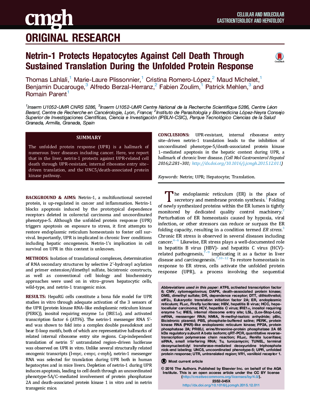 Netrin-1 Protects Hepatocytes Against Cell Death Through Sustained Translation During the Unfolded Protein Response