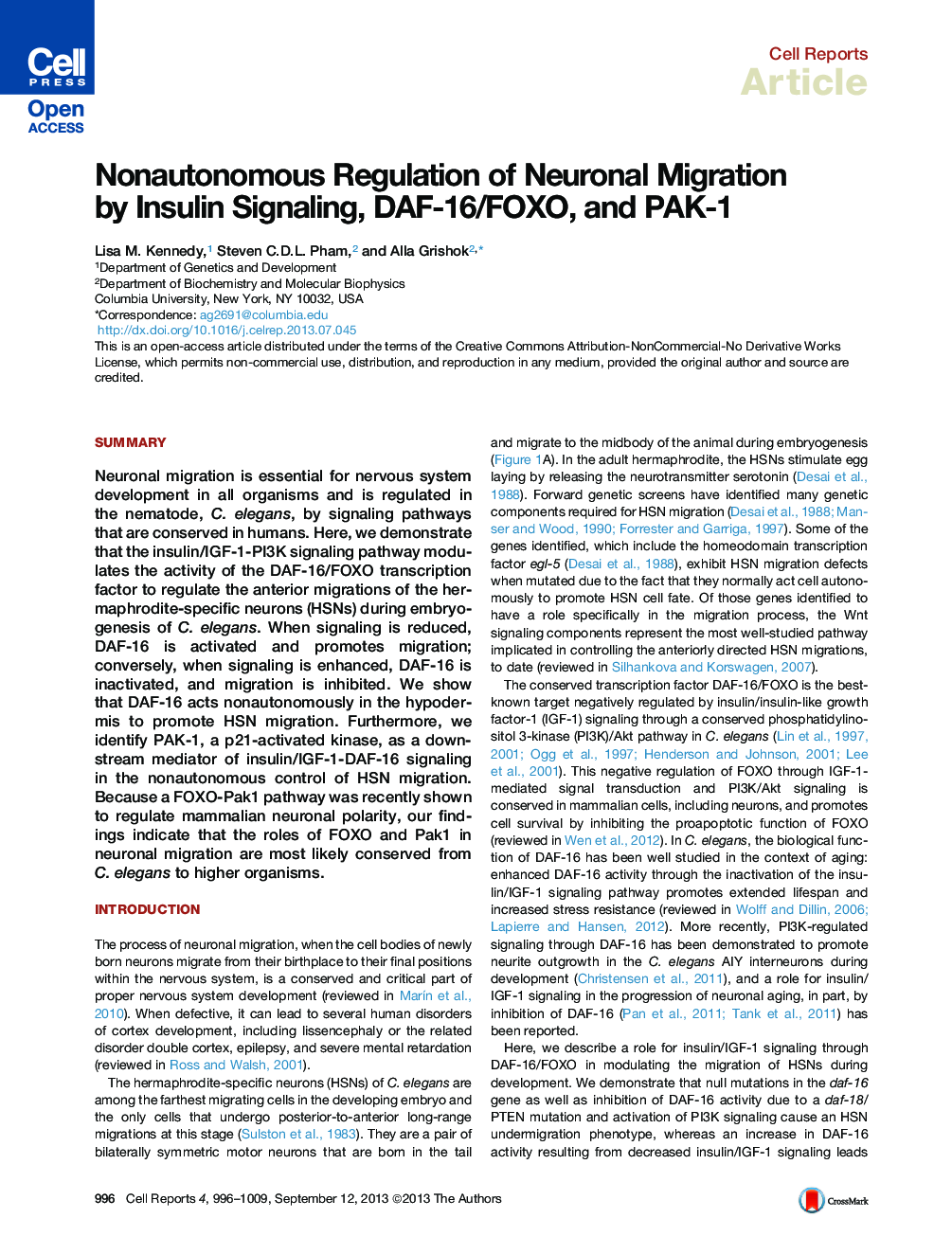 Nonautonomous Regulation of Neuronal Migration by Insulin Signaling, DAF-16/FOXO, and PAK-1 