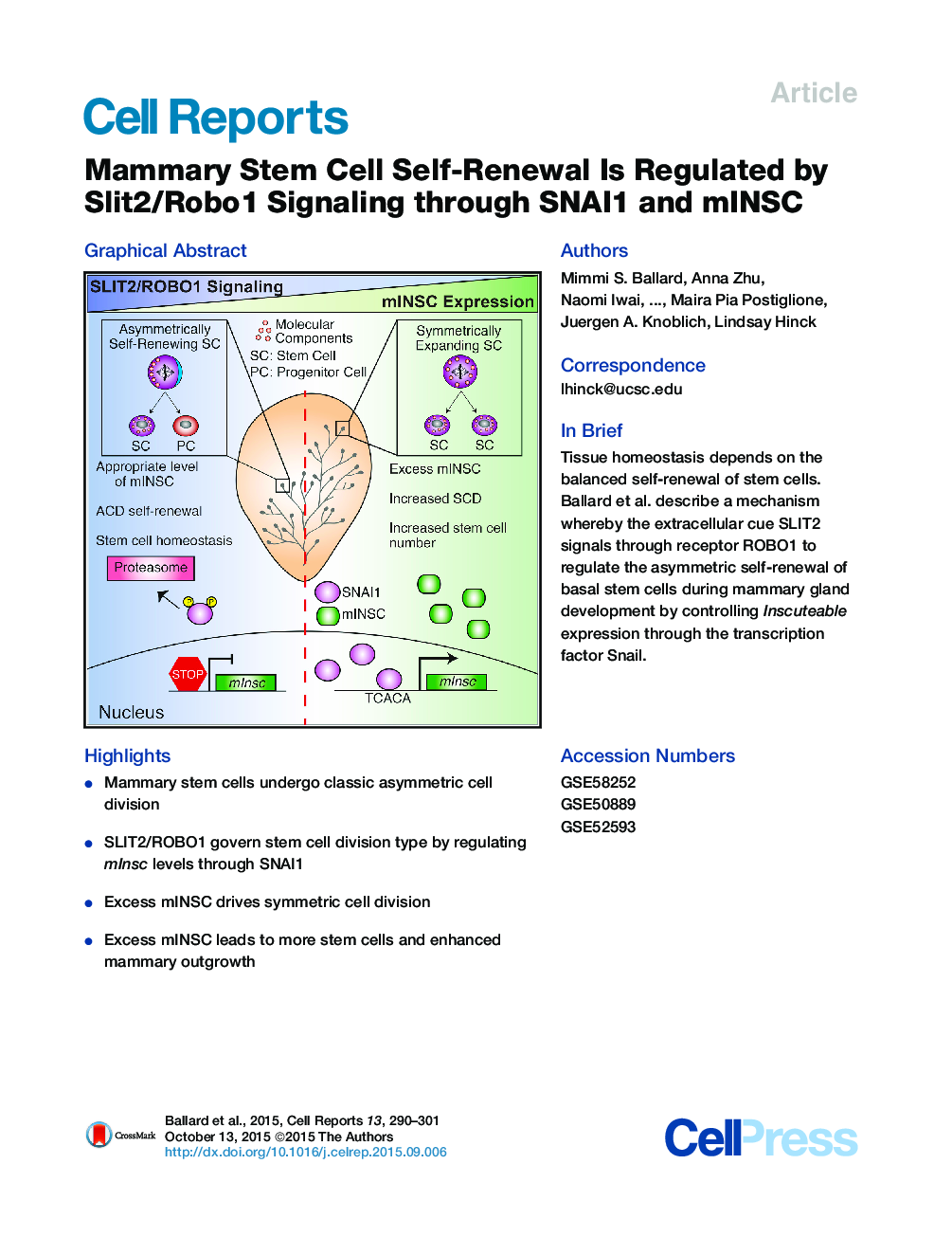 Mammary Stem Cell Self-Renewal Is Regulated by Slit2/Robo1 Signaling through SNAI1 and mINSC 