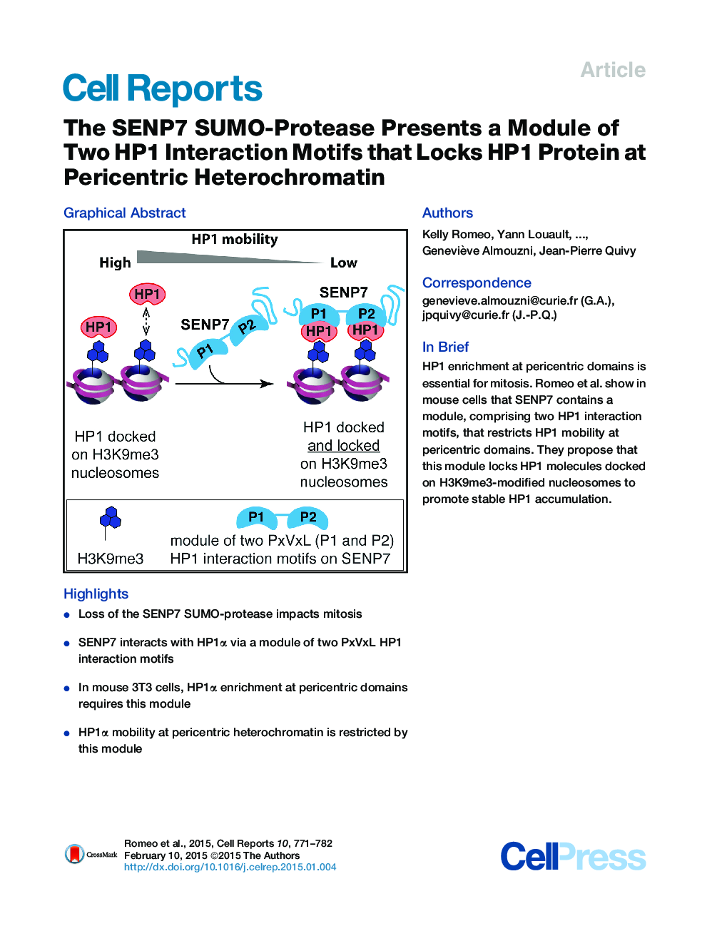 The SENP7 SUMO-Protease Presents a Module of Two HP1 Interaction Motifs that Locks HP1 Protein at Pericentric Heterochromatin 