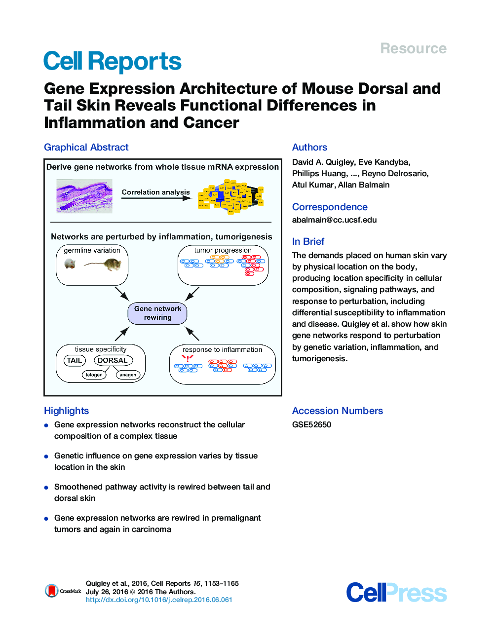 Gene Expression Architecture of Mouse Dorsal and Tail Skin Reveals Functional Differences in Inflammation and Cancer