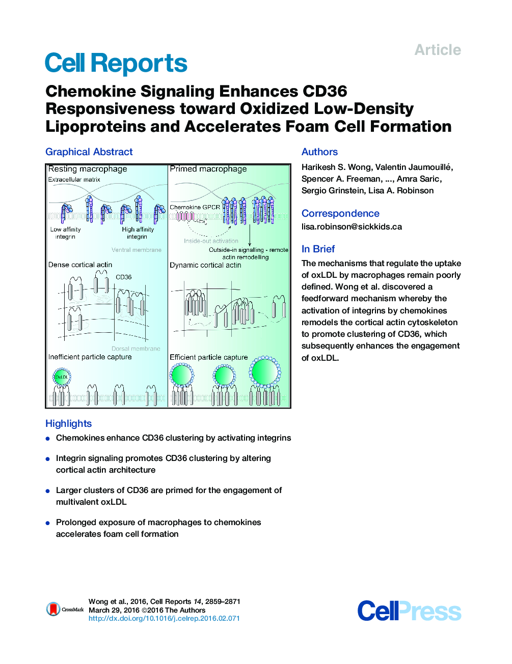 Chemokine Signaling Enhances CD36 Responsiveness toward Oxidized Low-Density Lipoproteins and Accelerates Foam Cell Formation 