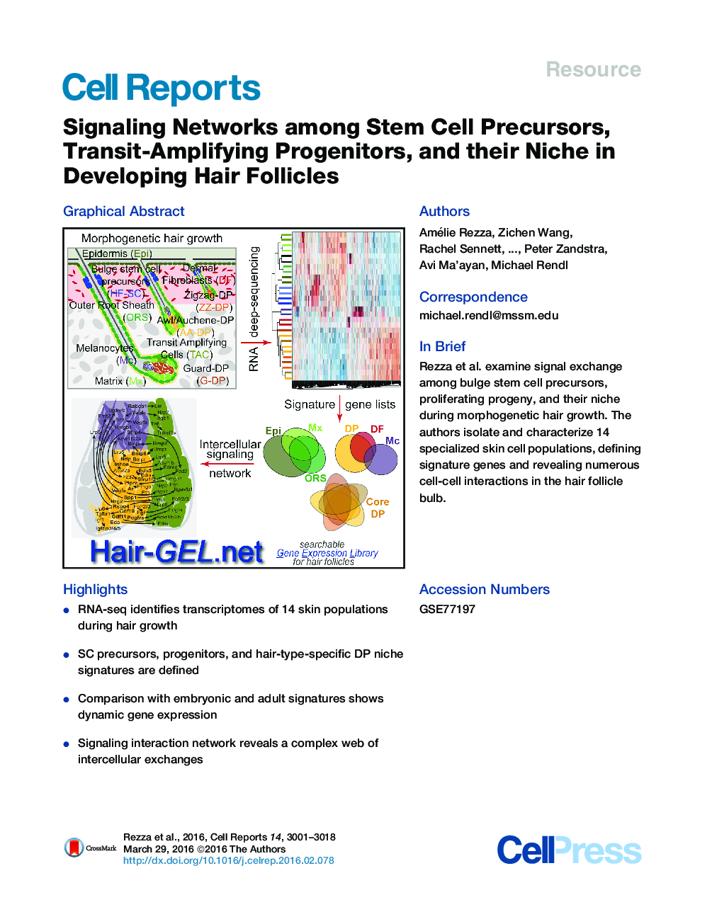 Signaling Networks among Stem Cell Precursors, Transit-Amplifying Progenitors, and their Niche in Developing Hair Follicles 