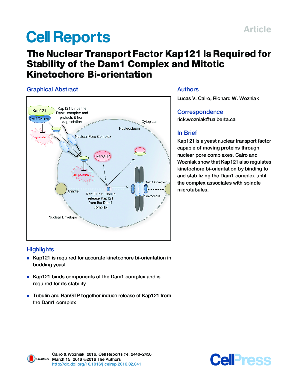 The Nuclear Transport Factor Kap121 Is Required for Stability of the Dam1 Complex and Mitotic Kinetochore Bi-orientation 