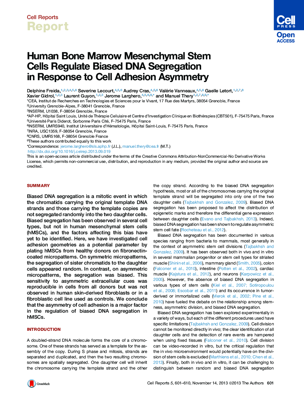 Human Bone Marrow Mesenchymal Stem Cells Regulate Biased DNA Segregation in Response to Cell Adhesion Asymmetry 