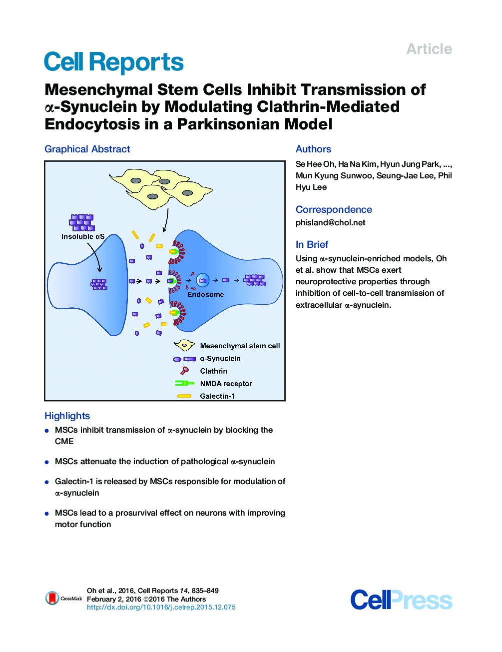 Mesenchymal Stem Cells Inhibit Transmission of α-Synuclein by Modulating Clathrin-Mediated Endocytosis in a Parkinsonian Model 