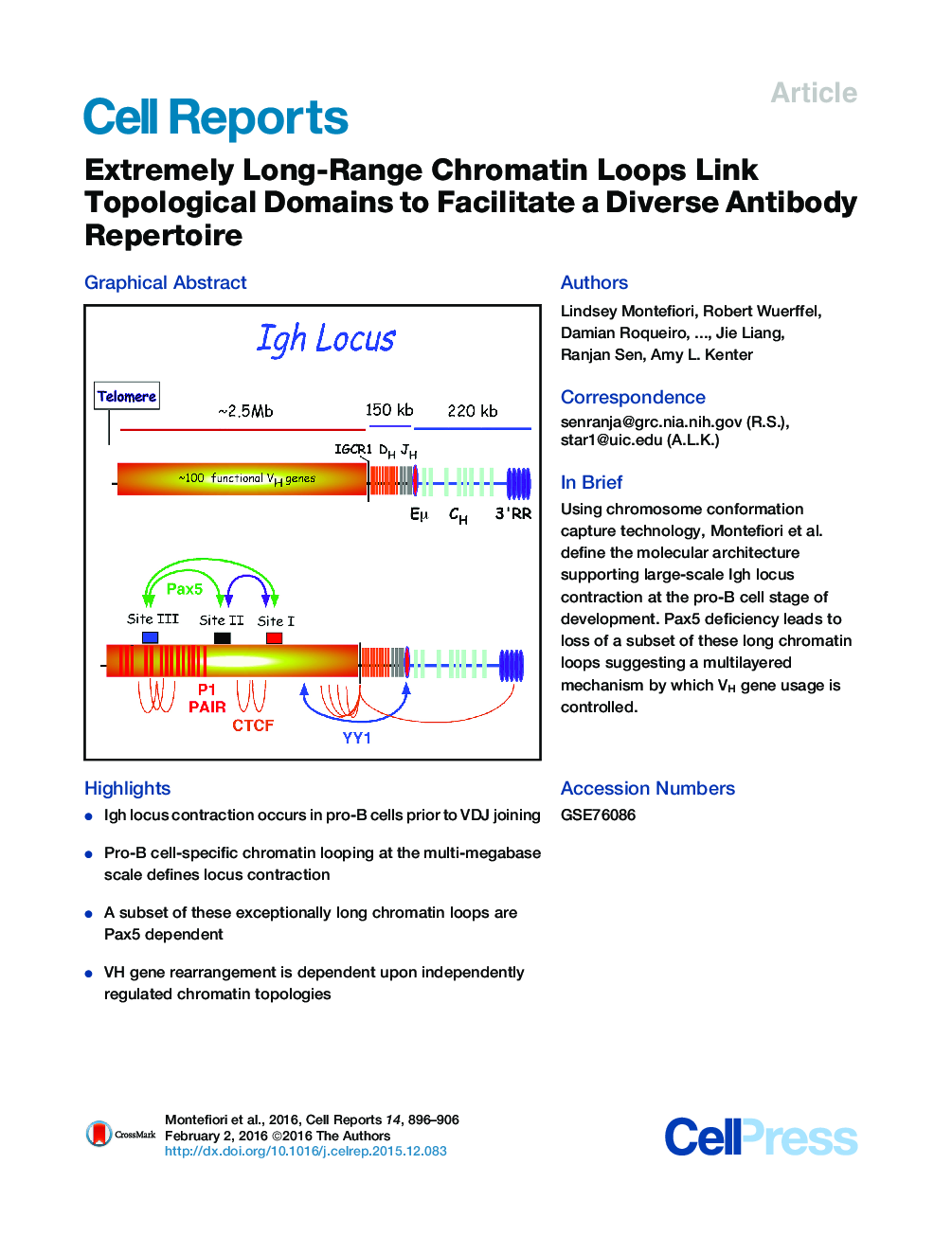 Extremely Long-Range Chromatin Loops Link Topological Domains to Facilitate a Diverse Antibody Repertoire 