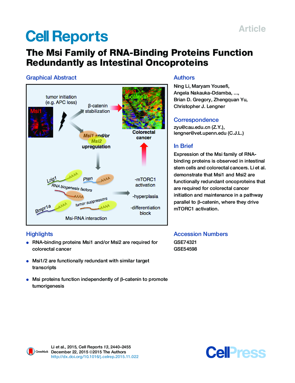 The Msi Family of RNA-Binding Proteins Function Redundantly as Intestinal Oncoproteins 