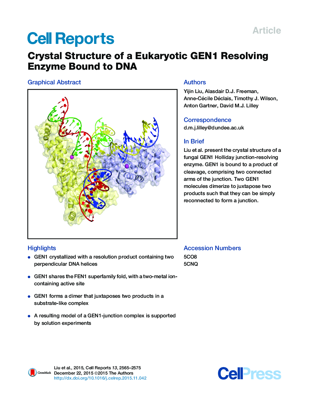 Crystal Structure of a Eukaryotic GEN1 Resolving Enzyme Bound to DNA 