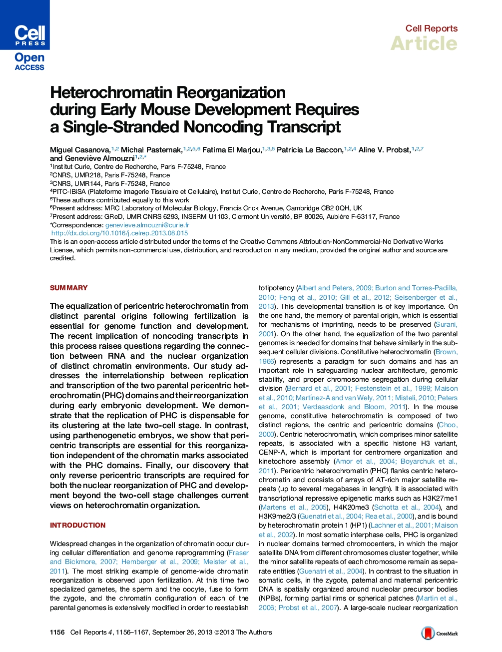 Heterochromatin Reorganization during Early Mouse Development Requires a Single-Stranded Noncoding Transcript 