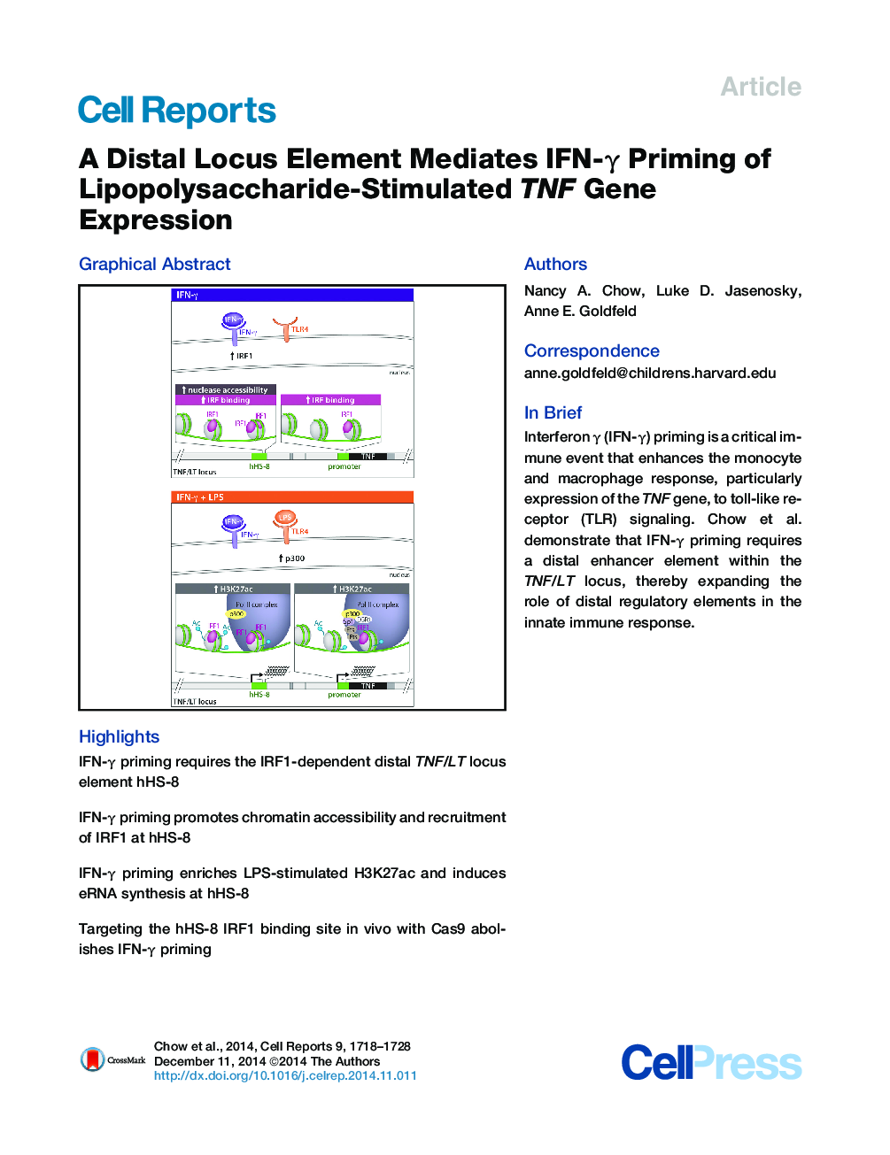 A Distal Locus Element Mediates IFN-γ Priming of Lipopolysaccharide-Stimulated TNF Gene Expression 