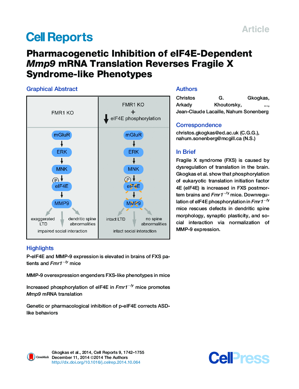Pharmacogenetic Inhibition of eIF4E-Dependent Mmp9 mRNA Translation Reverses Fragile X Syndrome-like Phenotypes 