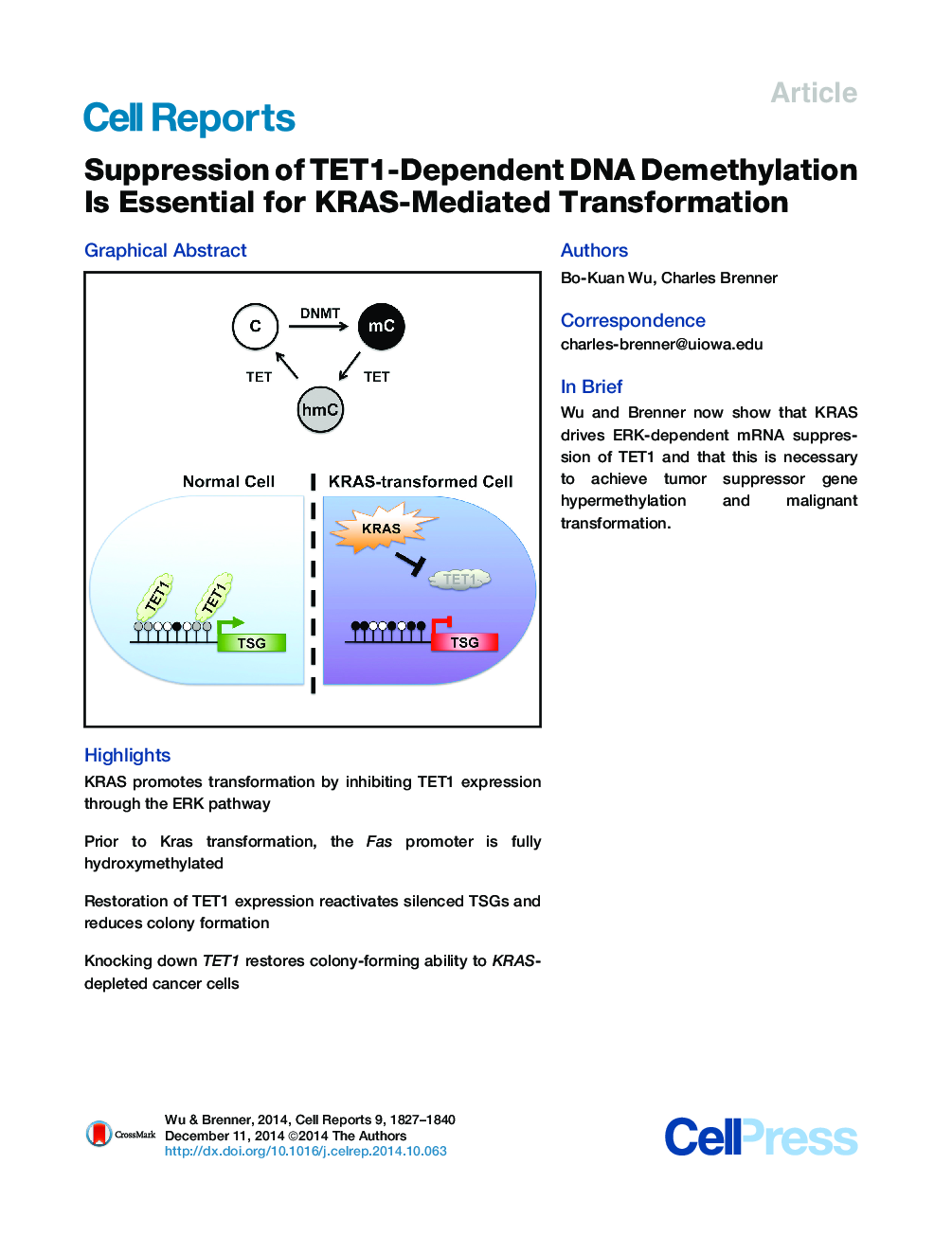 Suppression of TET1-Dependent DNA Demethylation Is Essential for KRAS-Mediated Transformation 