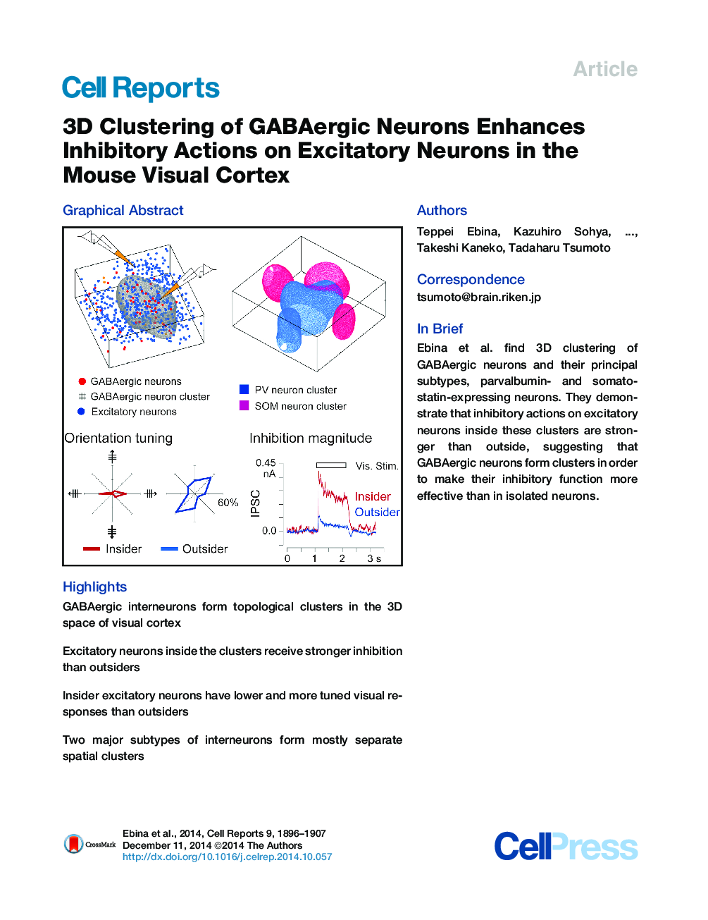 3D Clustering of GABAergic Neurons Enhances Inhibitory Actions on Excitatory Neurons in the Mouse Visual Cortex 