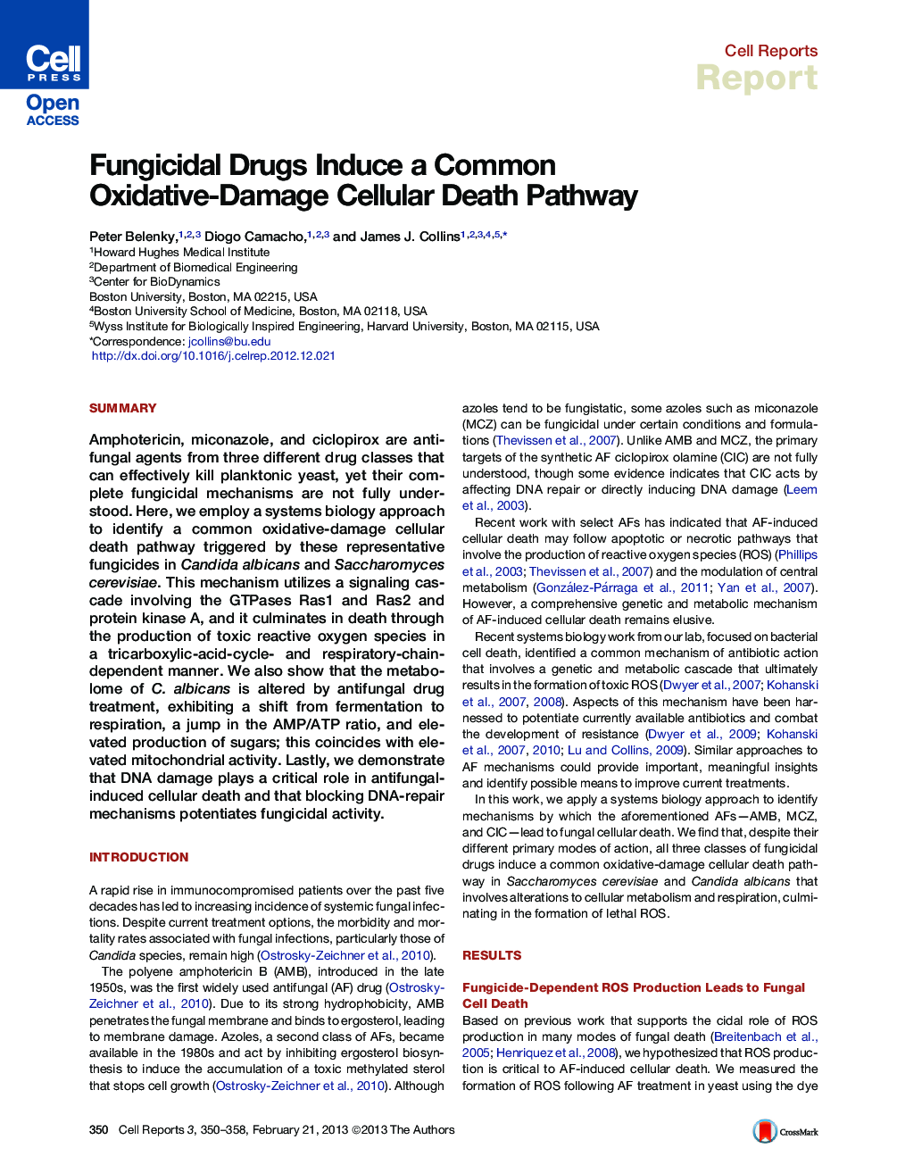 Fungicidal Drugs Induce a Common Oxidative-Damage Cellular Death Pathway