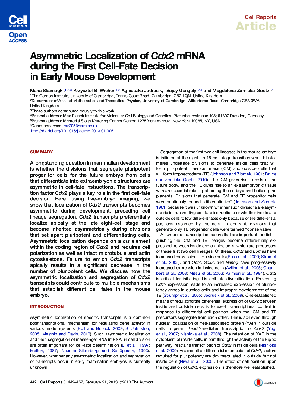 Asymmetric Localization of Cdx2 mRNA during the First Cell-Fate Decision in Early Mouse Development