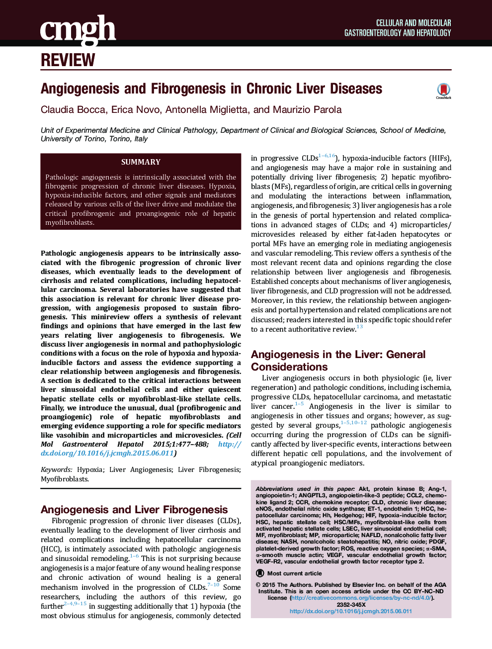 Angiogenesis and Fibrogenesis in Chronic Liver Diseases 