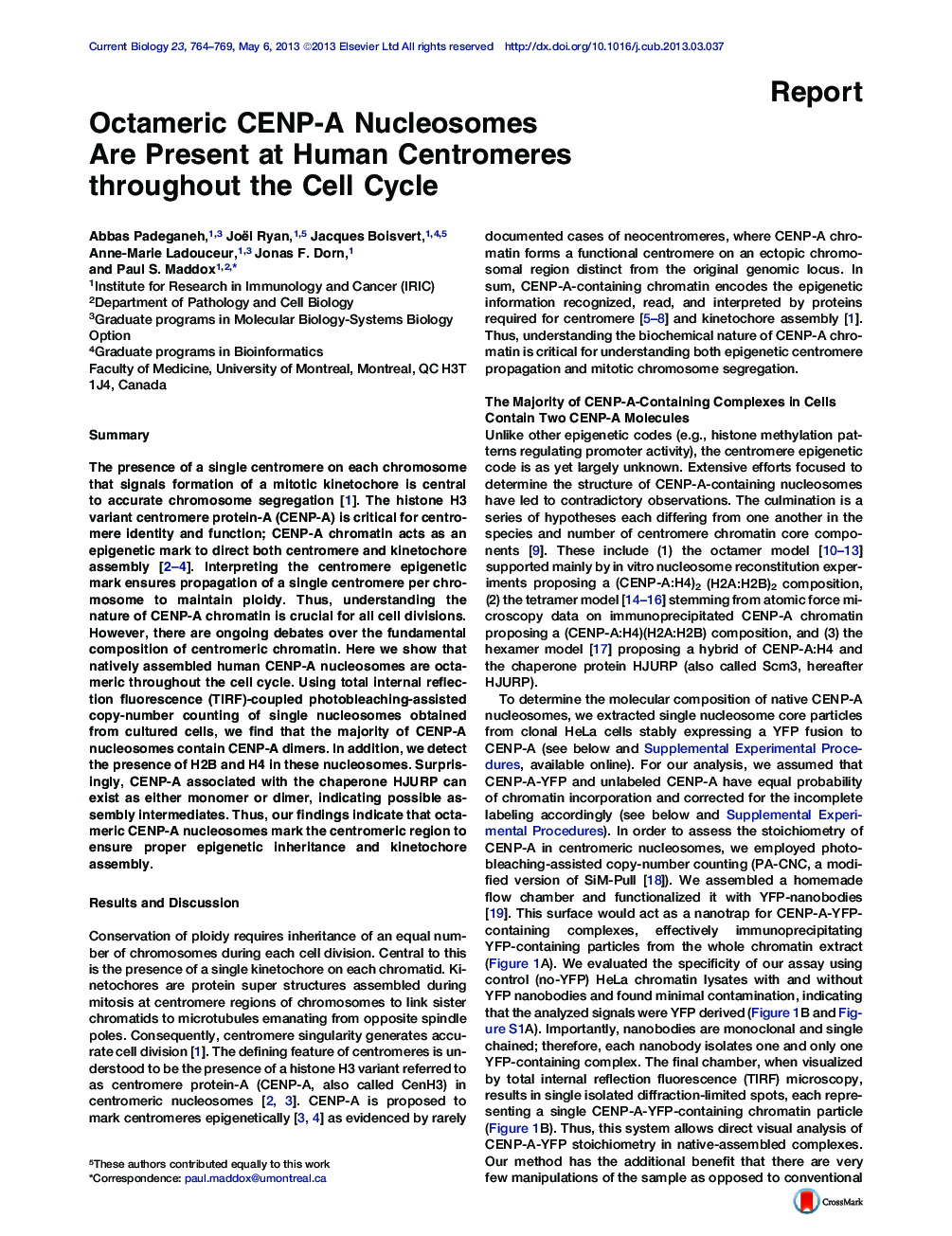 Octameric CENP-A Nucleosomes Are Present at Human Centromeres throughout the Cell Cycle