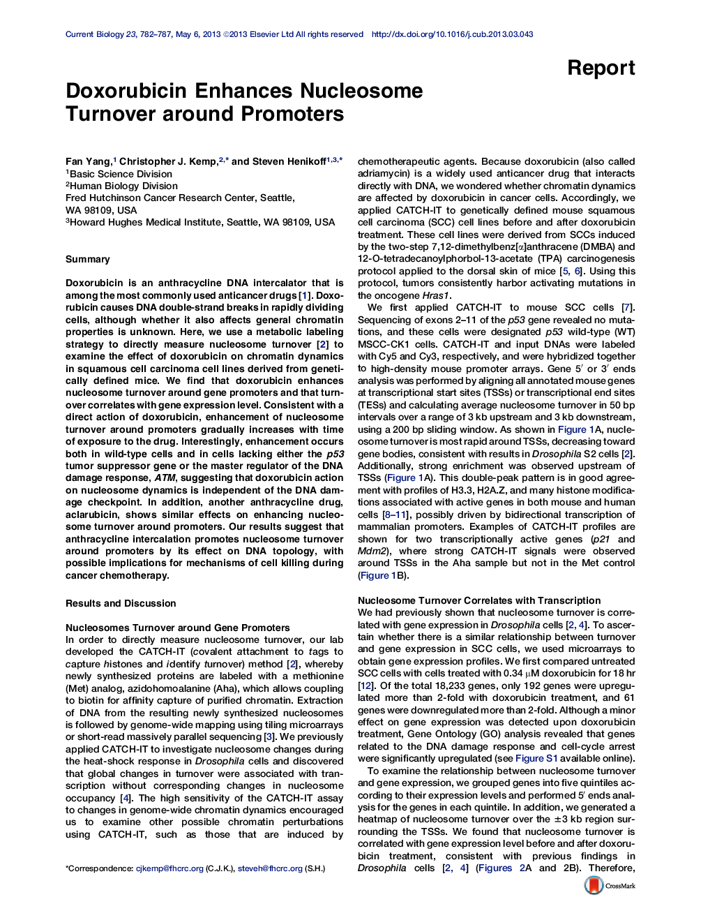 Doxorubicin Enhances Nucleosome Turnover around Promoters