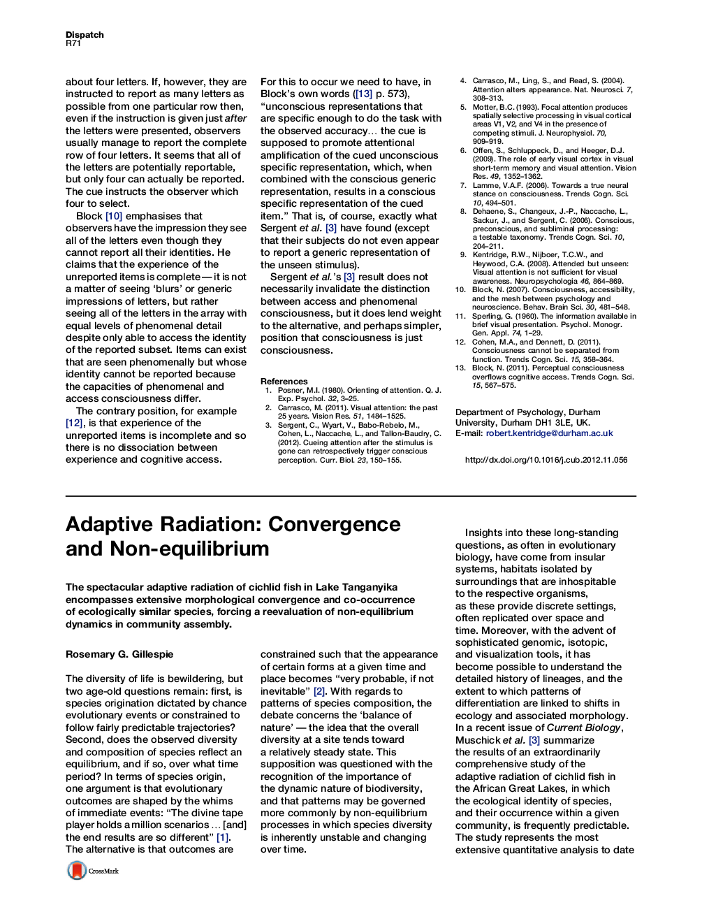 Adaptive Radiation: Convergence and Non-equilibrium