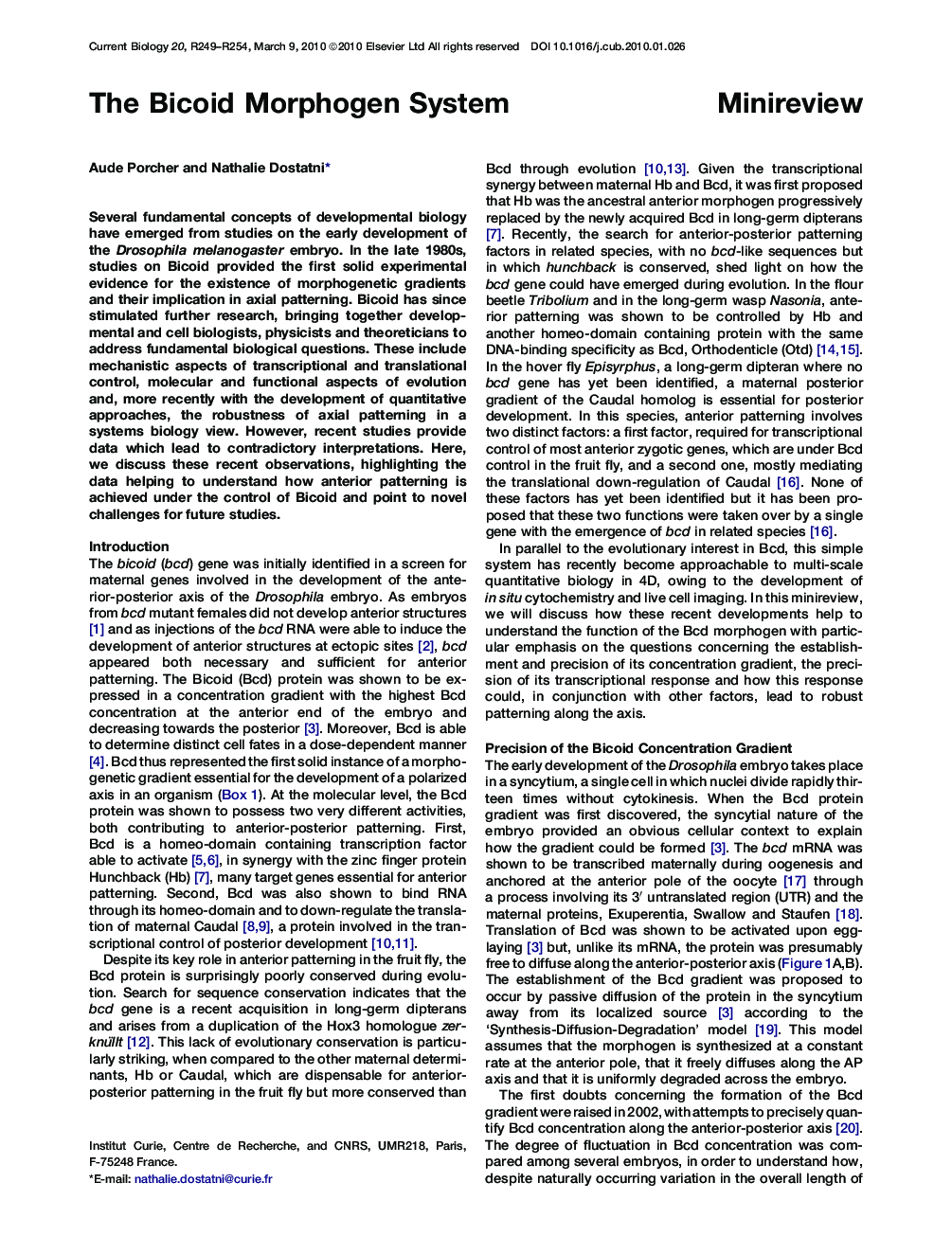 The Bicoid Morphogen System