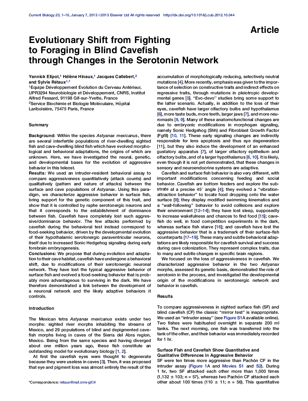 Evolutionary Shift from Fighting to Foraging in Blind Cavefish through Changes in the Serotonin Network