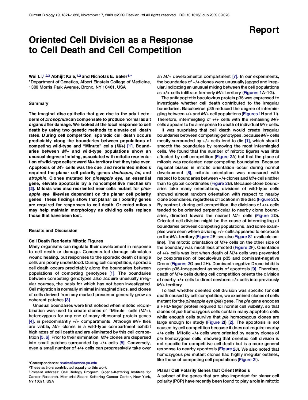 Oriented Cell Division as a Response to Cell Death and Cell Competition