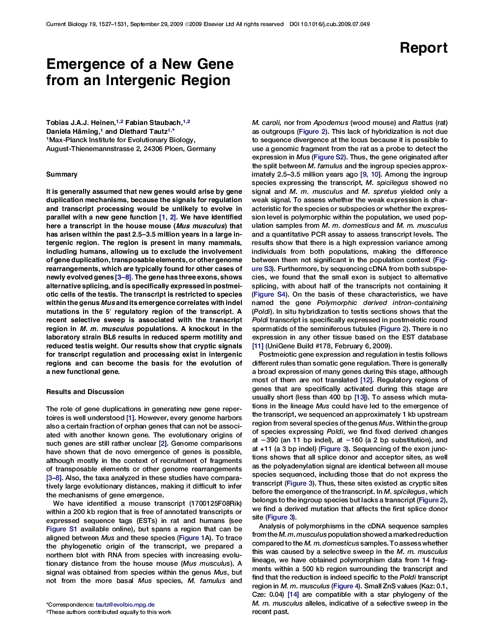Emergence of a New Gene from an Intergenic Region