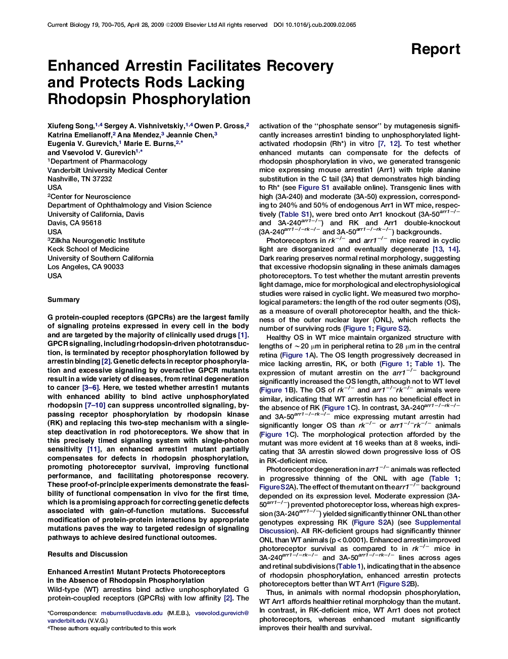 Enhanced Arrestin Facilitates Recovery and Protects Rods Lacking Rhodopsin Phosphorylation