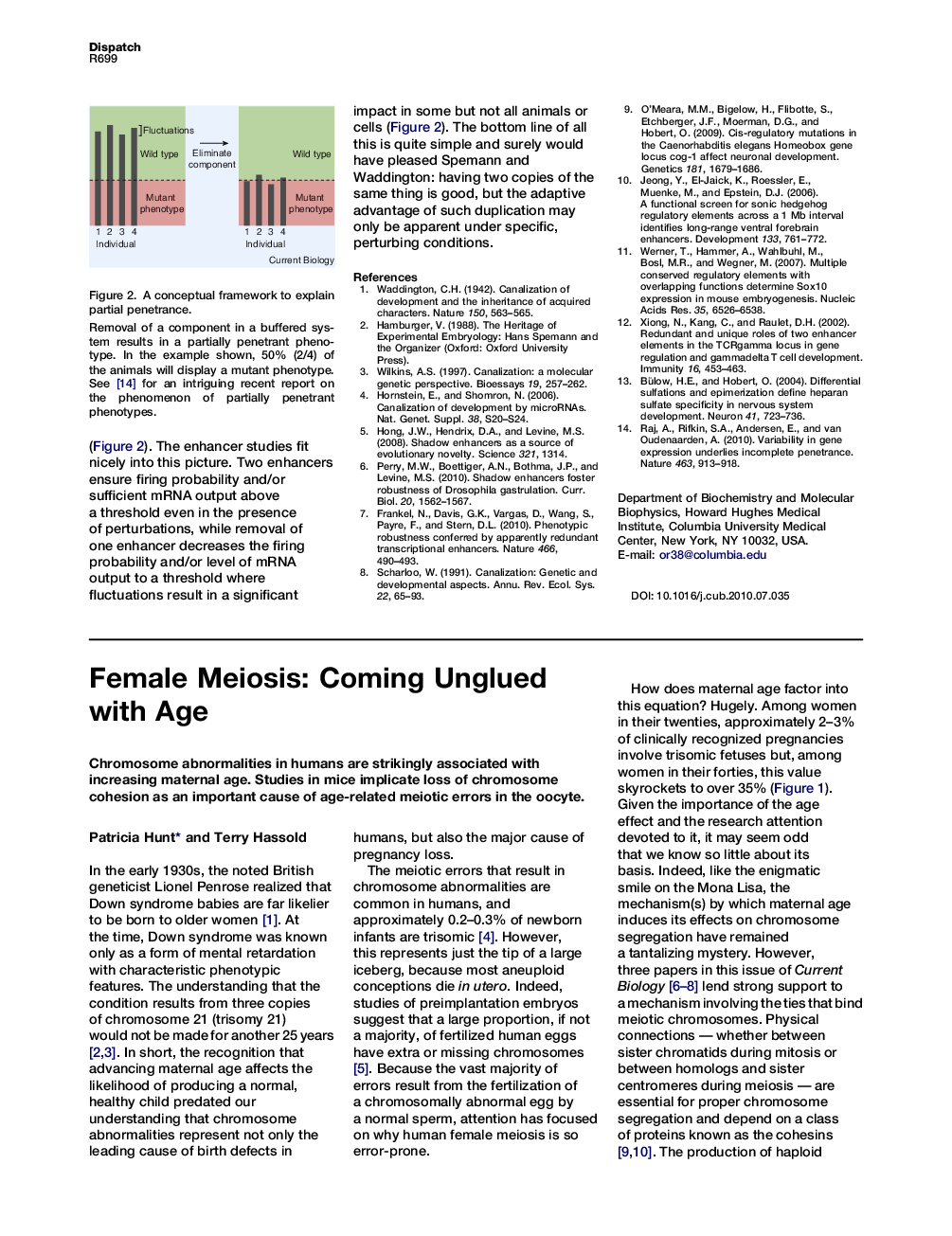 Female Meiosis: Coming Unglued with Age