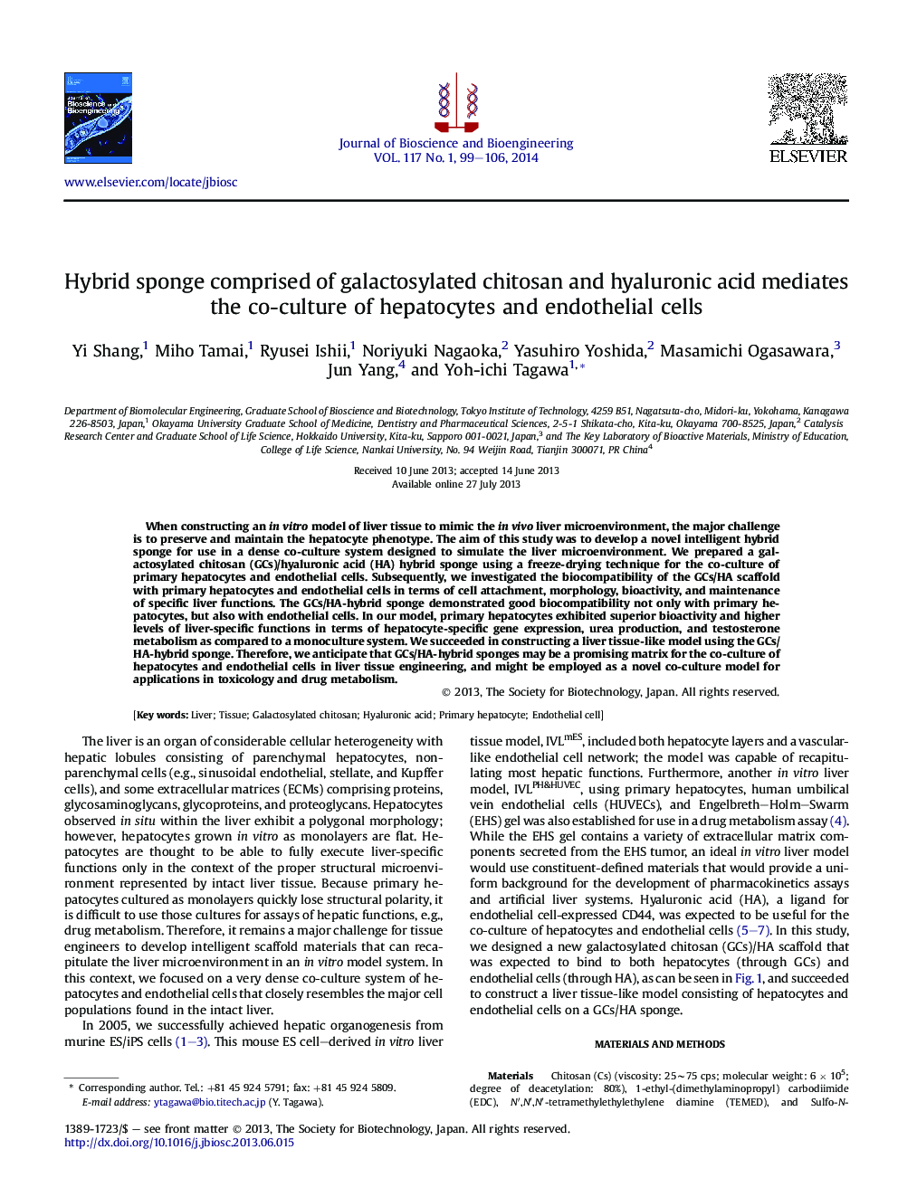 Hybrid sponge comprised of galactosylated chitosan and hyaluronic acid mediates the co-culture of hepatocytes and endothelial cells