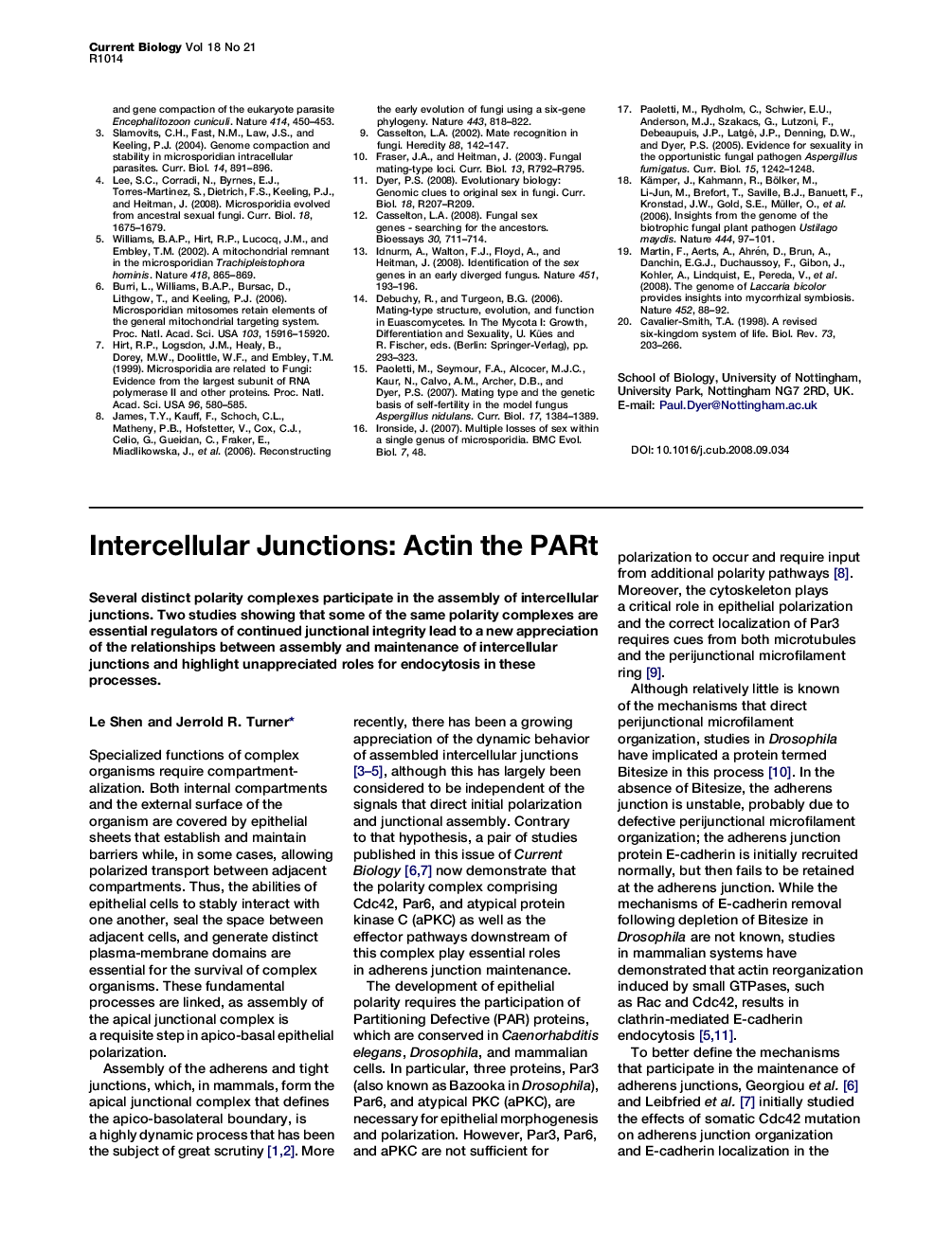 Intercellular Junctions: Actin the PARt
