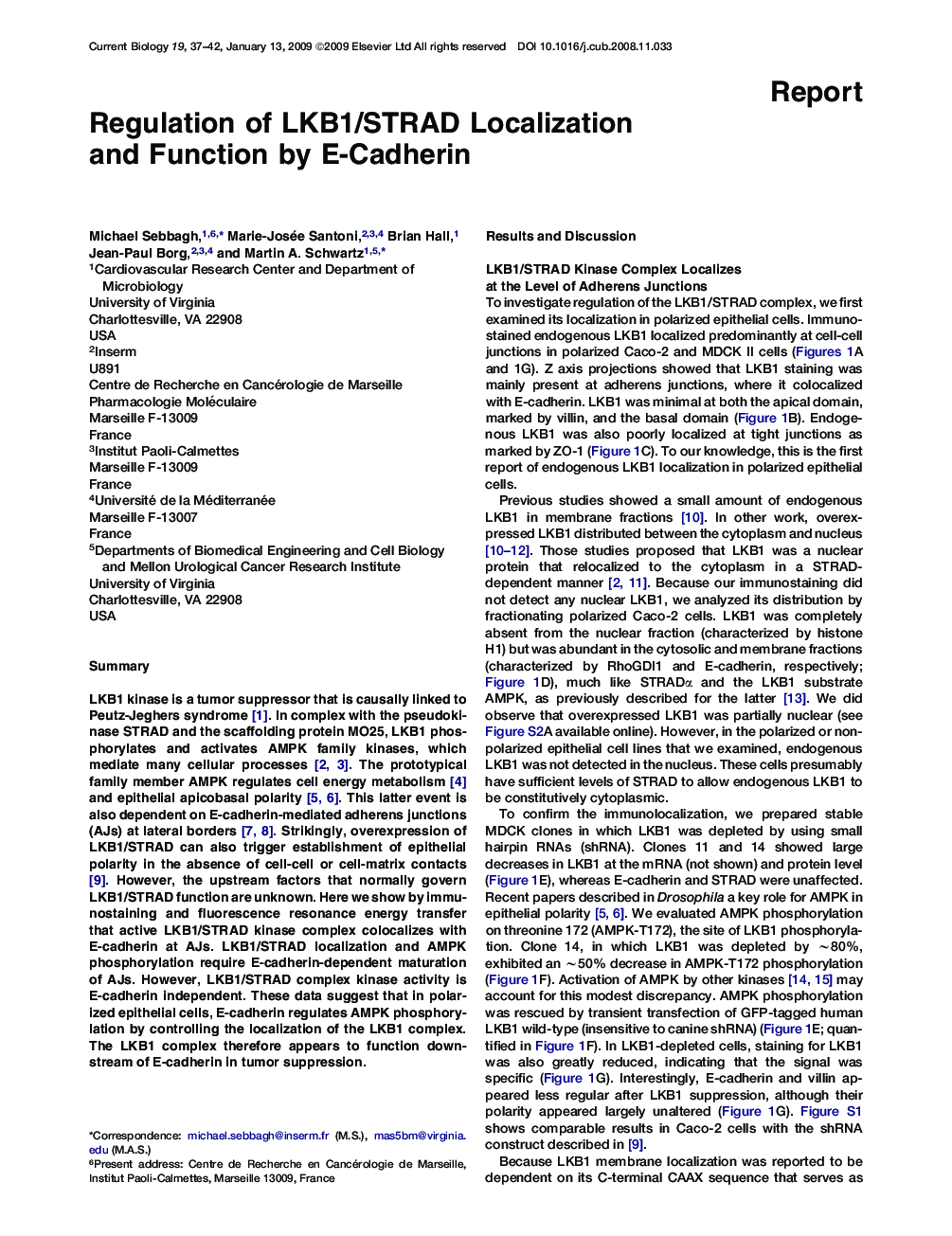 Regulation of LKB1/STRAD Localization and Function by E-Cadherin