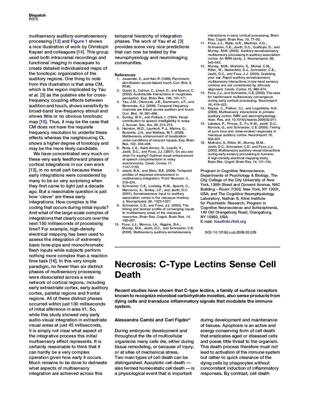 Necrosis: C-Type Lectins Sense Cell Death