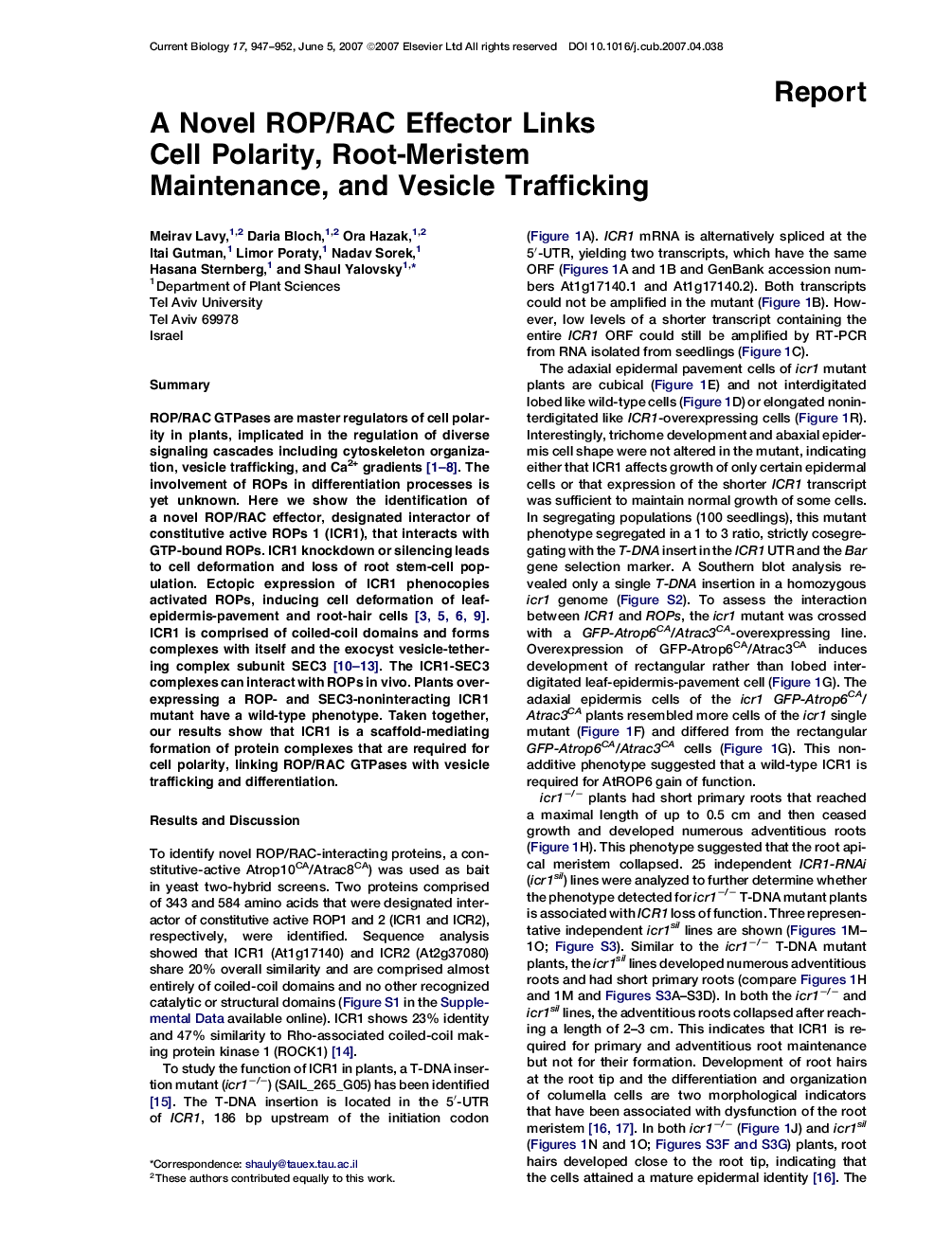 A Novel ROP/RAC Effector Links Cell Polarity, Root-Meristem Maintenance, and Vesicle Trafficking